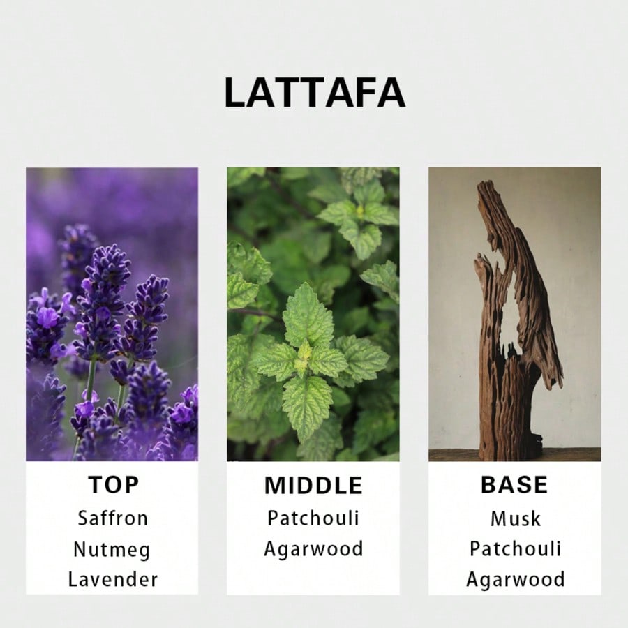Lattafa Badee Al Oud For Glory - Perfume And Fragrance recensione e prezzo